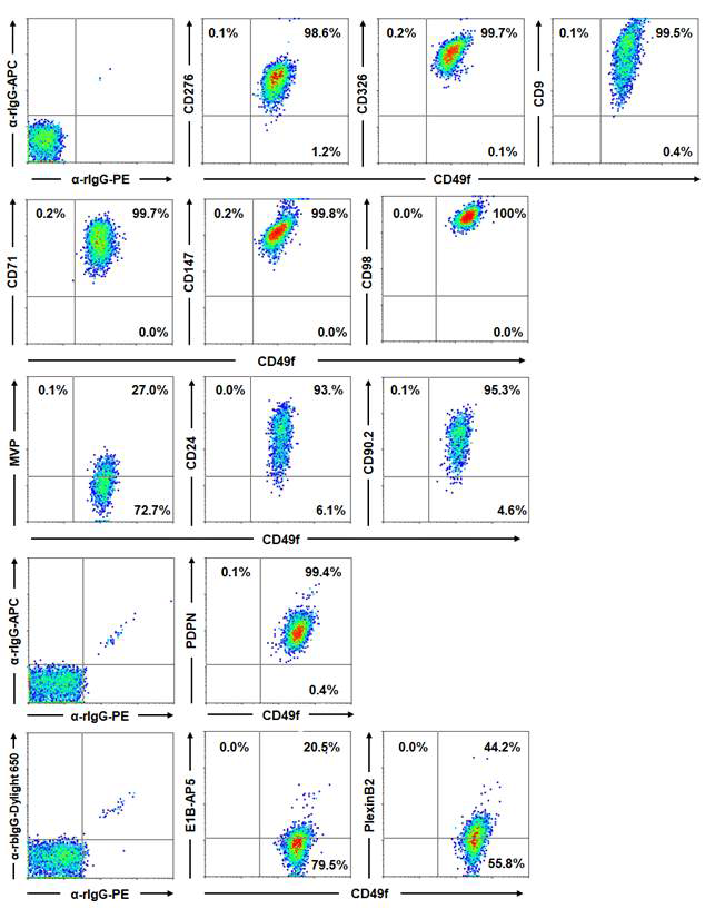 생식선줄기세포의 표면 마커 후보 항체군과 기존마커 CD49f의 double flow cytometry 분석 결과