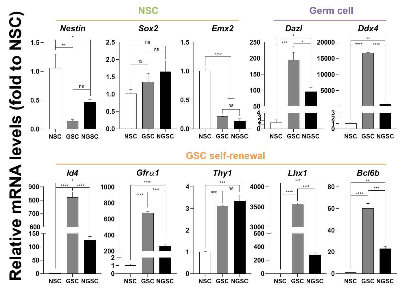 신경줄기세표, 생식선줄기세포, 신경줄기세포 유도생식선줄기세포에서 유전자 발현양상. 신경줄기세포 마커(Nestin, Sox2, Emx2), 생식세포 마커 (Dazl, Ddx4), 미분화 정원세포 마커 (Id4, Gfra1, Thy1, Lhx1, Bcl6b)를 이용하였음