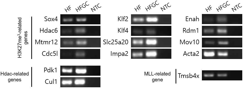 RT-PCR validation 결과