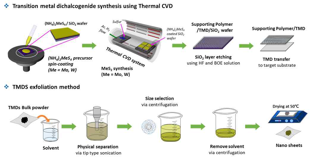 전이금속 화합물(Transition Metal Dichalcogenides) MoS2와 WS2, TiS2를 Thermal CVD와 exfoliation 방법을 통해 합성