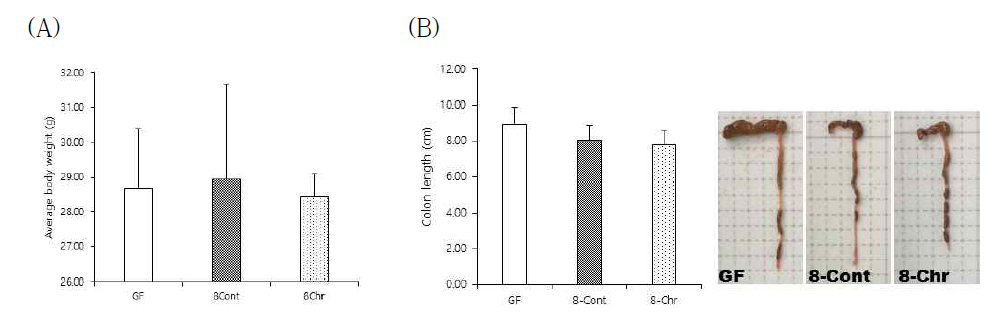 DSS-induced colitis 장균총 이식에 따른 몸무게 및 colon 길이 변화 무균쥐에 각 donor 장균총을 이식하고 9주 후 (A) 몸무게 변화 및 (B) colon 길이 변화를 확인하였다