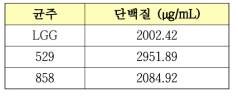 BCA 정량 결과