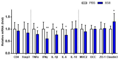 L. fermentum 858 mono-colonization 실험 결과 L. fermentum 858 접종 2주 후 colon에서 면역 기능 및 tight junction protein 관련 유전자 발현 변화를 qRT-PCR로 확인하였다. 유의성 평가는 PBS 처리군 대비 균주 처리군의 student t-test 검정 결과로 표시하였다(*: p < 0.05, **: p <0.01)