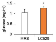 529 균주의 EPS 함량 확인 MRS 배지와 529 EPS 추출물에서 EPS를 glucose로 환원시킨 후 glucose 함량 측정하였다. 유의성 평가는 MRS 대비 EPS 추출물의 student t-test 검정 결과(*: p < 0.05)로 표기하였다
