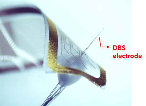 제작된 DBS와 통합된 PDMS 기판의 평면형 전극