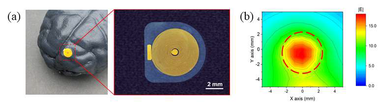 (a) 자기자극용 유연 코일. (b) 코일 표면에서 1mm 떨어진 표면에서의 전기장 분포