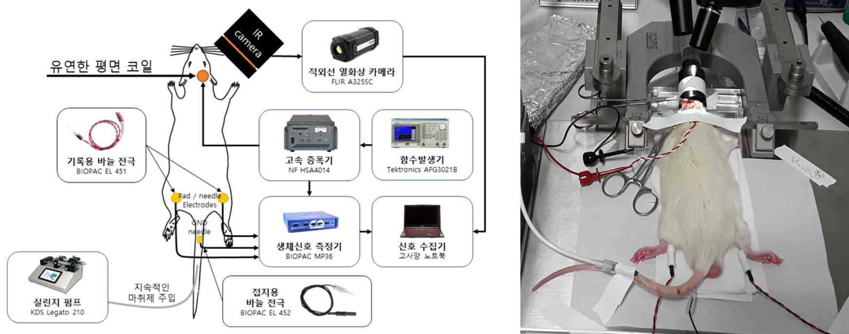 유연코일을 이용한 자기자극을 검증하기 위한 실험 구성 (좌) 개요도 (우) 실제 측정 모습