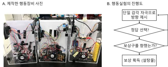 단일감각기반 행동실험 장비의 사진과 진행도