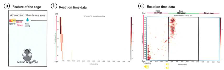(a) 시간 행동 검사의 실험구성요소 개요 (b) 시간 행동 검사를 위한 첫 단계인 고정 비율 보상 학습 결과 (c) 두 번째 단계인 청각 신호 기반 시간 인지 결과