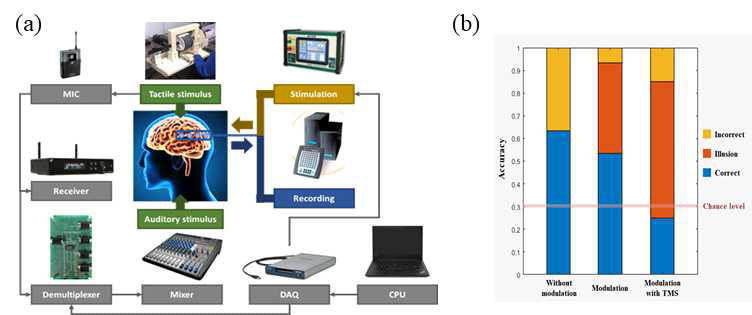 (a) 침습적 뇌 전기자극을 통한 다감각 연합 지각 변조 실험 시스템 (b) 비침습 뇌자극에 따른 행동 변화