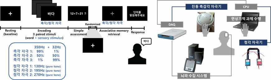 (좌) 감각-고위인지 연상 기억 실험 패러다임 (우) 실험 시스템