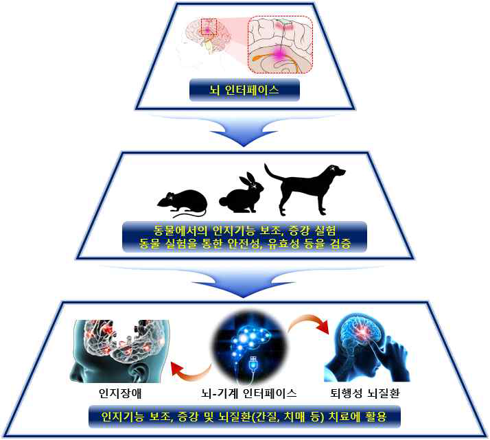 인지기능을 보조·증강할 수 있는 뇌 인터페이스 핵심 원천기술 개발 개요