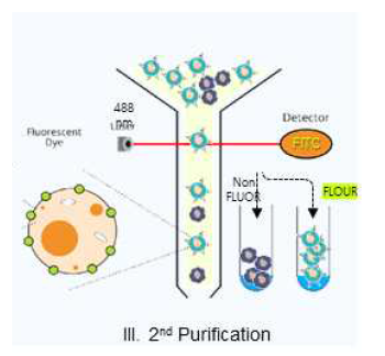 Low-stress 형광유세포분석 기술 개념