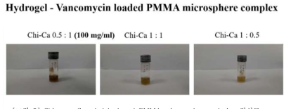 Chitosan-Catechol hydrogel PMMA microspehere solution 점성도 test