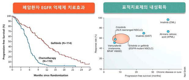 암 표적 치료제의 효과 및 내성 획득