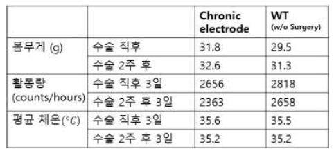 장기간 ECoG수술 기법 진행 후 몸무게, 활동량과 체온 변화량 비교표