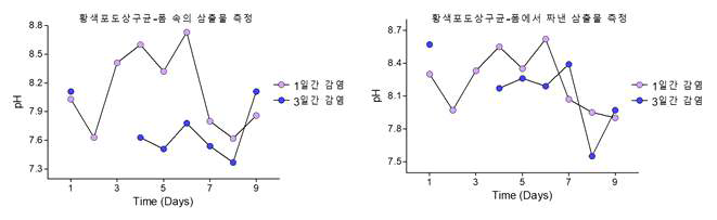 황색포도상구균으로 감염시킨 창상의 시간에 따른 pH 변화