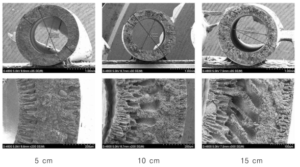 에어갭 변화에 따른 알루미나 중공사막 green body의 SEM 결과 (방사압력 : 1 bar, 내부 응고제 : 10 ml/min)