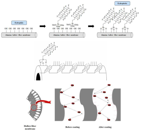 소수성 코팅 메커니즘