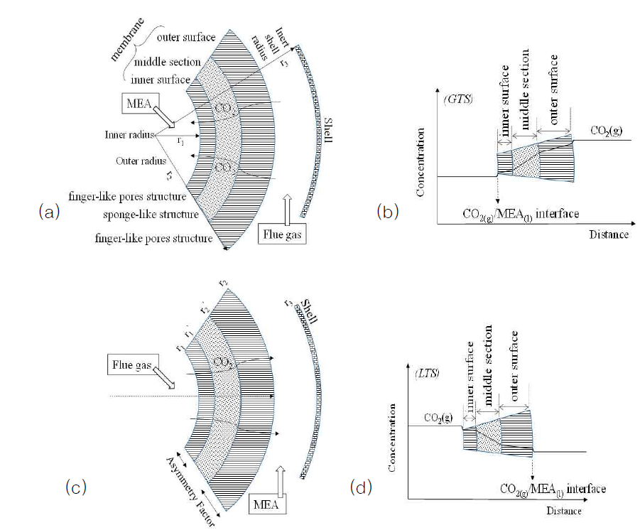 (a), (b) gas to shell(GTS) 흐름, (c), (d) liquid to shell(LTS) 흐름에서의 물질전달 메커니즘
