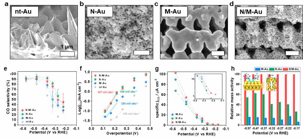 금 나노구조 전극; (a) 평판 금(nt-Au), (b) 나노기공 금(N-Au), (c) 매크로 기공 금(M-Au), (d) 계층 다공성 금(N/M-Au), (e) 전압별 반응 선택도, (f) 타펠 플롯 (Tafel polt) 조사, (g) 반응 면적당 CO 부분 전류밀도, (h) 질량 효율 비교