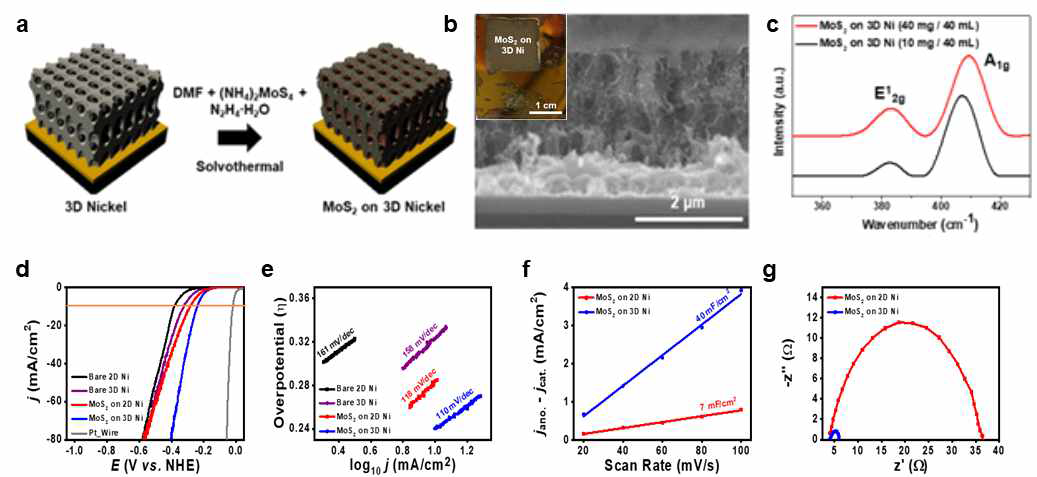 MoS2가 형성된 3차원 Ni의 (a) 제작모식도, (b) SEM Image 및 (c) 라만분석 결과. 2차원 Ni과 3차원 Ni 위에 성장된 MoS2의 수소생산 특성 분석; (d) 선형주사전위법 (Linear sweep voltammetry, LSV) 측정 커브, (e) 타펠 플롯 (Tafel plot), (f) 캐패시터 이중층, 및 (g) EIS 분석(Nyquist plot)