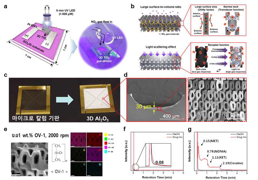 (a) 빛으로 활성화되는 3차원 나노구조체 기반 가스 센서 기술 모식도, (b) 다공성 3 차원 나노구조의 광학적/물리화학적 센서 특성 향상 원리. 마이크로 칼럼형 물질 분별기 내 집적된 3차원 나노구조의 (c) 디지털 및 (d) SEM 이미지 (e) 고분자 코팅된 3차원 나노구조의 전자주사 현미경 및 에너지 분산 분광분석 이미지. 마약류 검출 성능 평가; (f) 상용 물질 분별기 (g) 코팅된 3차원 나노구조가 집적된 물질 분별기