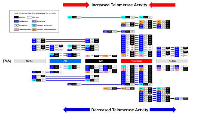 신경교종의 longitudinal sample을 이용하여 진행할수록 telomere 관련 유전자의 변이가 변할 수 있고 이에 따라 telomerase length maintenance mechanisma도 변할 수 있음. 이는 telomerase 억제시 ALT가 활성화되어 치료저항성을 획득하는 기전도 일어 날 수 있음을 시사