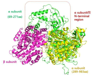 CO2 reductase의 homology model