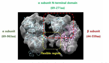 CO2 reductase의 전자밀도지도와 homology model 매칭 image