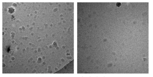 CO2 reductase 단백질의 cryo-EM image