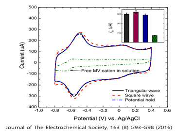 Viologen의 carbon substrate에 고정화