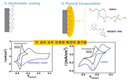 EV의 전극 고정화 비교 (전기화학적, 물리적 고정화)