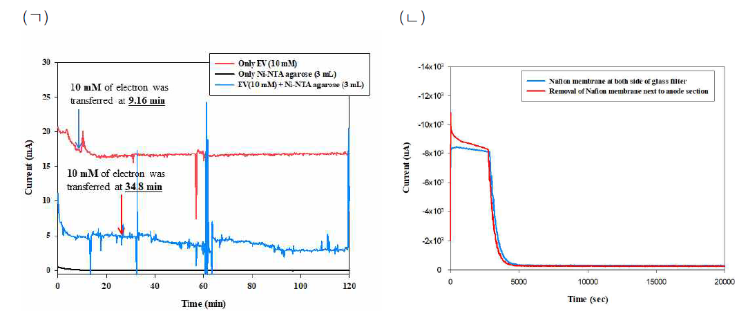 반응기 내에서의 ethyl viologen에 의한 시간에 따른 전류의 흐름. (ㄱ) 아크릴 재질의 전기화학 반응기에서의 시간에 따른 전류 변화 (ㄴ) gas tight 전기화학 반응기에서의 시간에 따른 전류 변화