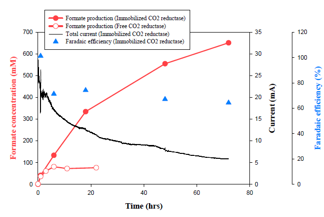 CO2 reductase 전기화학 반응의 장기 운전