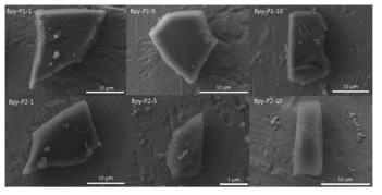 SEM images of Prepare Bpy-CTF supports