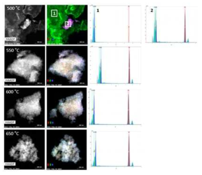 HAADF STEM images and TEM EDX mapping