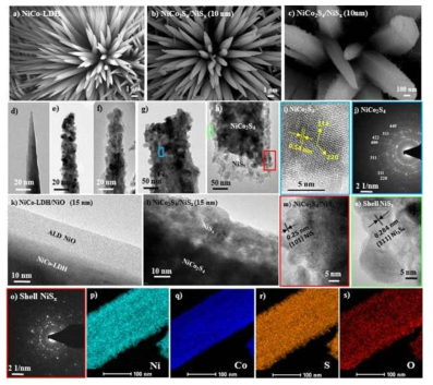 HR-SEM images of (a) bare NC, (b) NCS/NiSx (10 nm ALD NiO), and (c) NCS/NiSx (10 nm ALD NiO). HR-TEM images of (d) bare NC, (e, g) NCS, (f, h) NCS/NiSx (10 nm). (i, j) Diffraction plane analysis and SAED pattern of NCS marked in image (g). HR-TEM images of (k) NC/NiO (15 nm) and (l) NCS/NiSx (15 nm). (m-o) Diffraction plane analyses and SAED pattern of NCS/NiSx (10 nm) marked in image (h). (p-s) Elemental mapping of NCS/NiSx (10 nm) catalyst