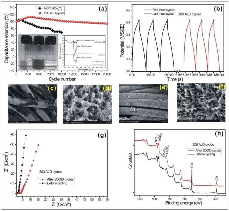 (a) capacitance retention of the NCC/NCO/NiO (200 NiO ALD cycles) and NCC/NCO electrode for 20,000 and 10,000 charge-discharge cycles, respectively. (b) initial and final charge- discharge cycles for the NCC/NCO/NiO electrode. The SEM images after the stability measurements for (c, d) NCC/NCO electrode (10,000 charge-discharge cycles), (e, f) NCC/NCO/NiO electrode (20,000 charge-discharge cycles). (g) EIS and (h) XPS plots for the NCC/NCO/NiO electrode before and after 20,000 charge-discharge cycles