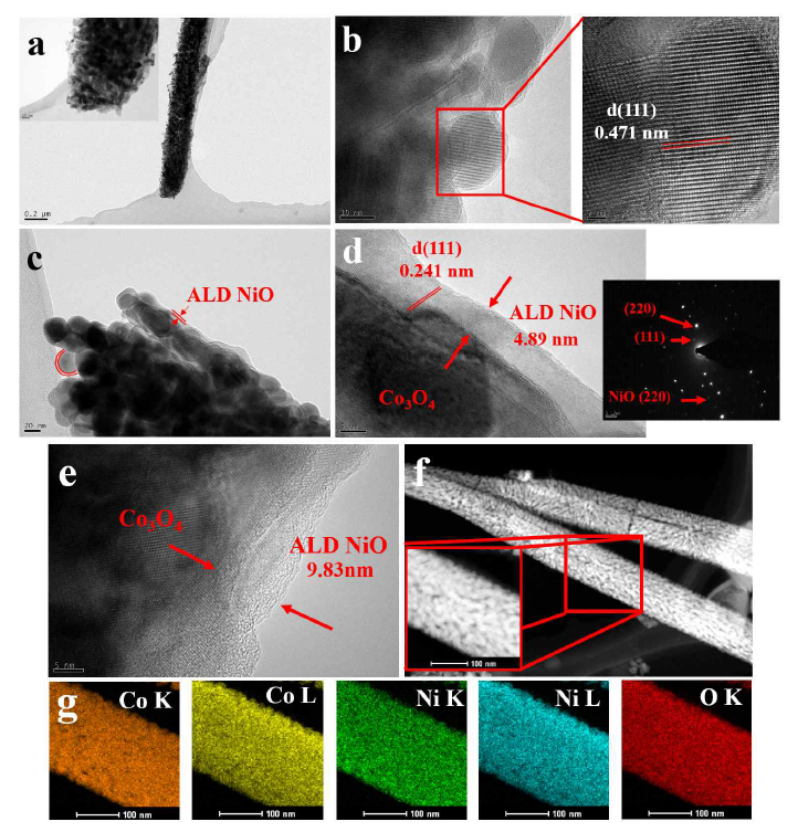 TEM and HRTEM Micrographs of Co3O4@NF (a, b); ALD 5 nm NiO/Co3O4@NF with corresponding HRTEM and SAED pattern (c, d); ALD 10 nm NiO/Co3O4@NF (e); STEM micrograph of ALD 5 nm NiO/Co3O4@NF (f), and the corresponding elemental mapping showing elements Co, Ni and O (g)