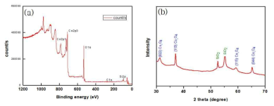 Co(btmsa)2/H2O2 반응계에서 증착된 박막의 (a)XPS; (b)XRD 결과 @150℃