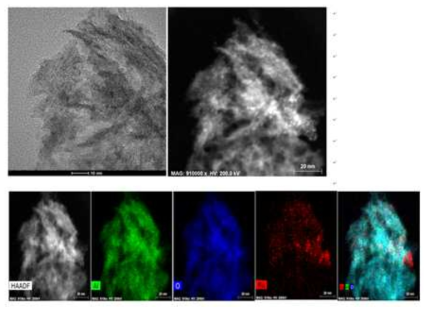 HAADF STEM images and TEM EDX of prepared catalysts