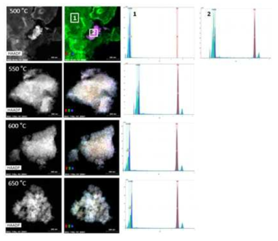 HAADF STEM images and TEM EDX mapping