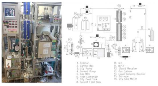 Photo and schematic diagram of TBR reaction system