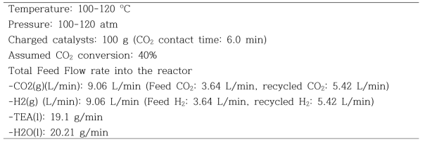 10 kg/d 반응기 설계조건