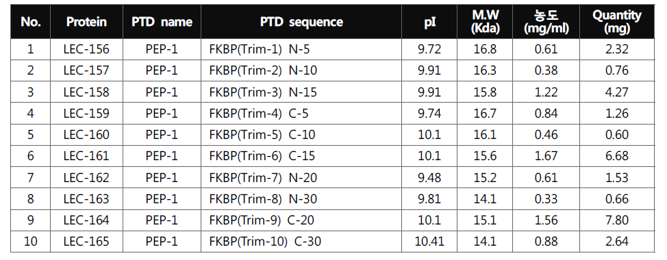 PEP-1- 변형 FKBP12 융합단백질 생산결과