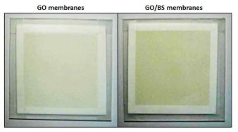 GO 및 GO/BS 코팅된 미세다공성 복합막 표면 사진