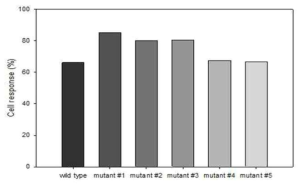 야생형 균주 및 돌연변이 균주의 광반응성