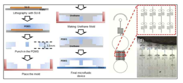 배양용 미세유체 시스템 제작 과정 및 장치 디자인
