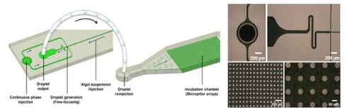 미세액적 기반 광생물반응기 구현을 위해 개발된 마이크로 장치 (Analyst, 2016)